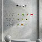 Load image into Gallery viewer, Ahli - Auriga