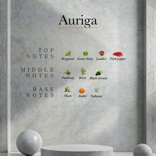 Ahli - Auriga