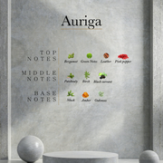 Ahli - Auriga