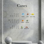 Load image into Gallery viewer, Ahli - Canes