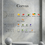 Load image into Gallery viewer, Ahli - Corvus
