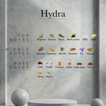 Load image into Gallery viewer, Ahli - Hydra
