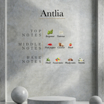 Load image into Gallery viewer, Ahli - Antlia
