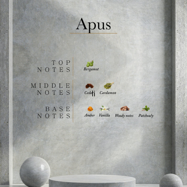 Ahli - Apus